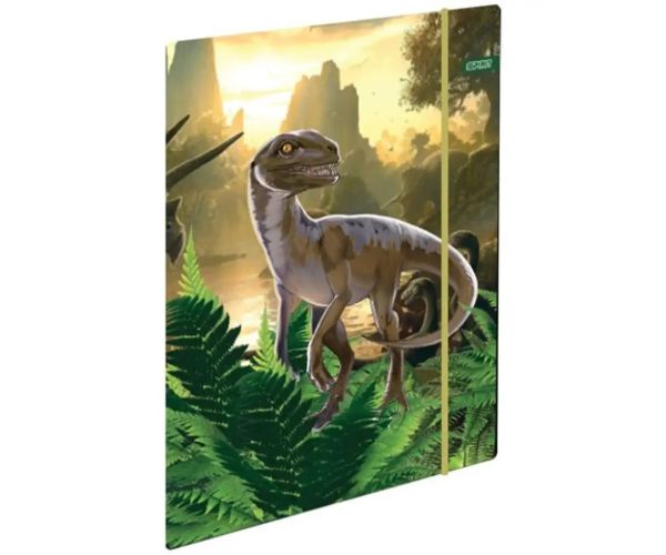 Spirit: Cool Raptor ergonomic rucsac, ghiozdan set 4 bucăți
