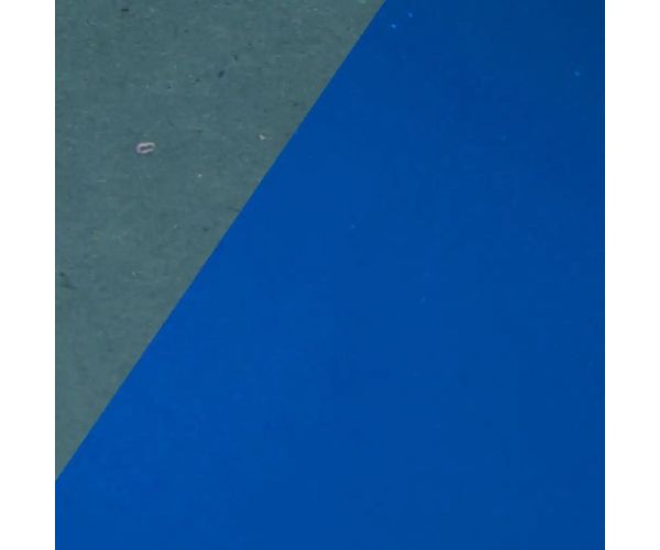 Carton decorativ culoarea albastru 10 bucăţi B4