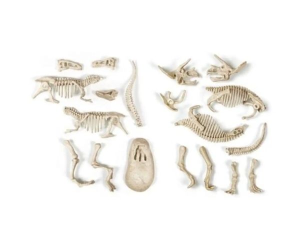 Science&Play: Archeofun T-rex și Triceratops luminează set de arheolog - Clementoni