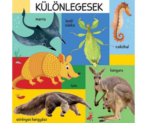 101 de imagini colorate cu animale sălbatice carte pentru copii