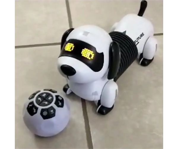 Teckel robotul interactiv prietenos