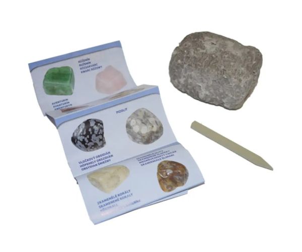 Minerals & Fossils surpriză