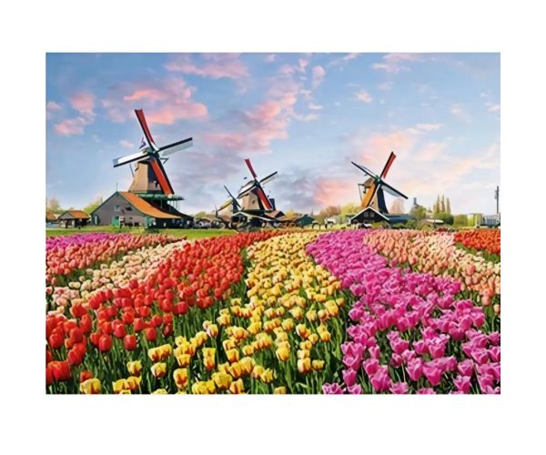 Puzzle cu diamante: Set de pictură cu diamante pe câmpul de lalele olandeze 30x40cm