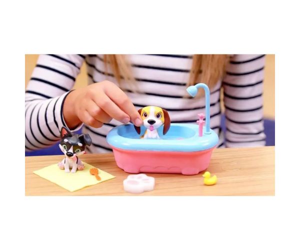 Prietenii spălători: Beagle-ul dezvăluitor de culoare cu cadă și accesorii