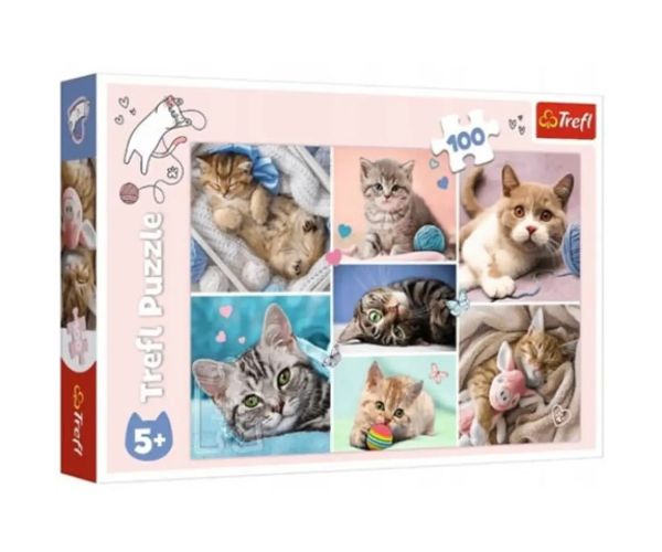 Pisici 100 de bucăți puzzle - Trefl