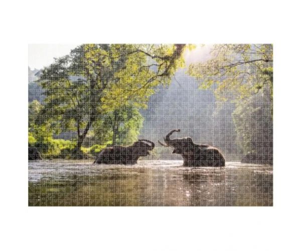 Animal Planet: Elefanți în lac 1000 bucăți puzzle