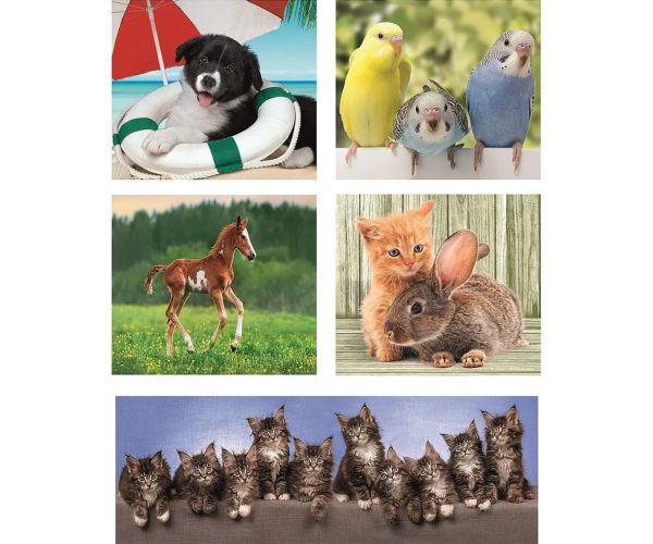 Prietenii animalelor 10 în 1 puzzle super color - Clementoni