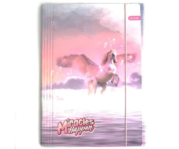 Spirit: Pegasus model mapă cu elastic mărimea A4
