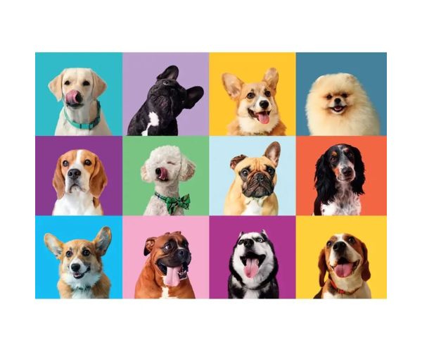 Puzzle veselii cu fețe de câini 300 de piese - Clementoni