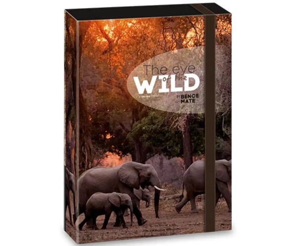 Ars Una: Máté Bence The Eyes of the Wild - Elefant mapă pentru caiete A4