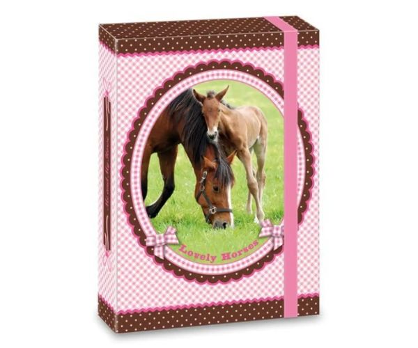 My Horse cutie de birou A5