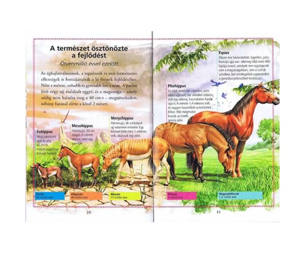 Citește cu noi! (3) - Povestea cailor carte pentru copii