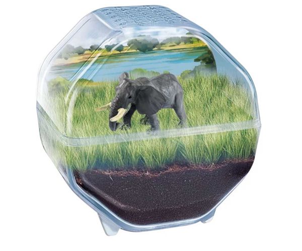 Science & Play: Mini elefant terrarium set de joacă - Clementoni