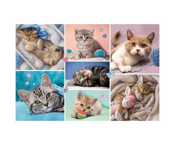 Pisici 100 de bucăți puzzle - Trefl