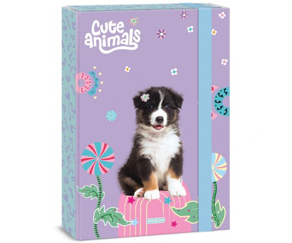 Ars Una: Animale drăguțe - cutie pentru caiete A4 cu câine Aussie