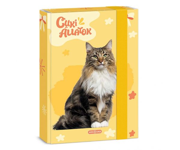 Ars Una: Cutie drăguță pentru caiete format A/5 cu pisică de pădure norvegiană