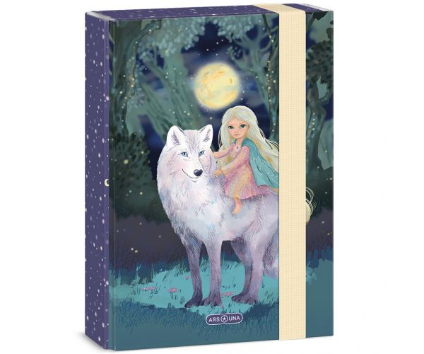 Ars Una: Northern Lights cutie pentru caiete A5