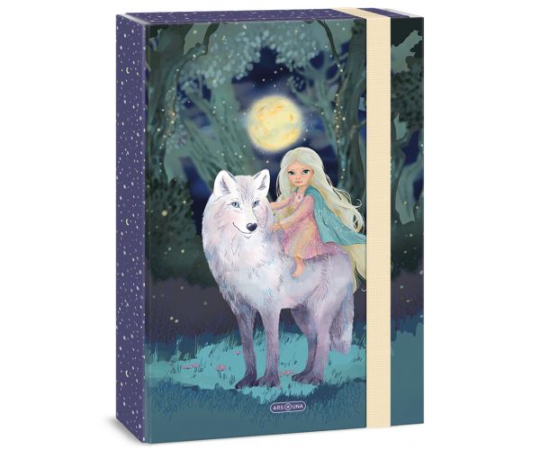 Ars Una: cutie pentru caiete Northern Lights A4