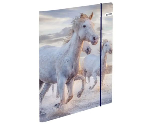 Spirit: Cool Magical Horse cai rucsac, ghiozdan ergonomic set de 4 bucăți