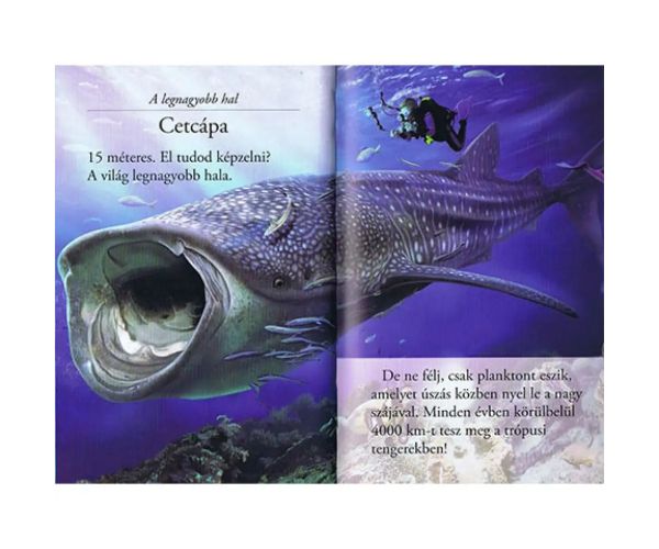 Citește cu noi! (2) - Lumea rechinilor carte pentru copii