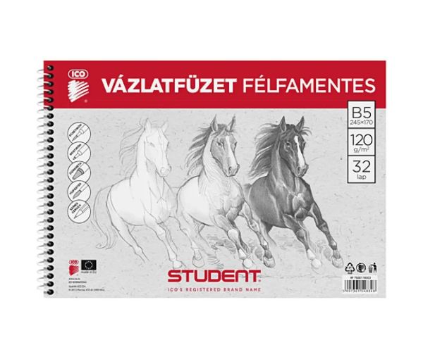 Student caiet schiţe spirală B5