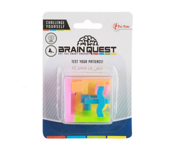 Brain Quest labirint de cub joc de îndemânare