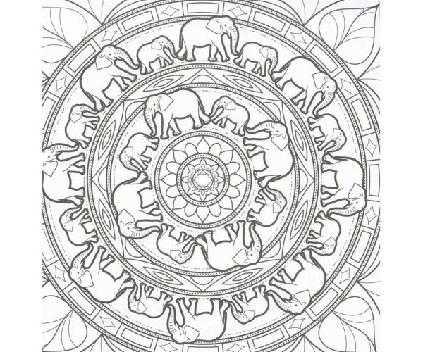 Mandalas și cărți de colorat - Animale sălbatice