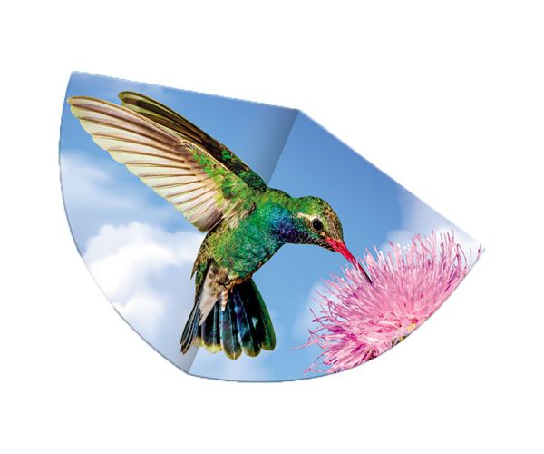Colibri zmeu
