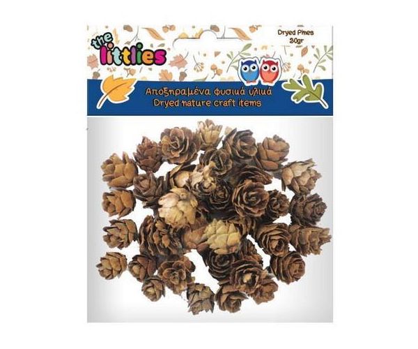 Szárított fenyő toboz 20gr