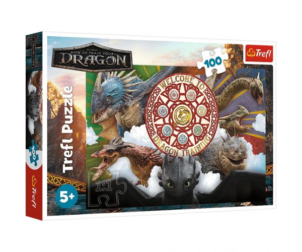 Cum să-ți dresezi dragonul puzzle de 100 piese - Trefl