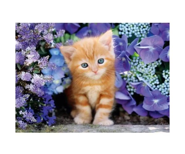 Pisica roșie printre flori 500buc HQC puzzle compact - Clementoni