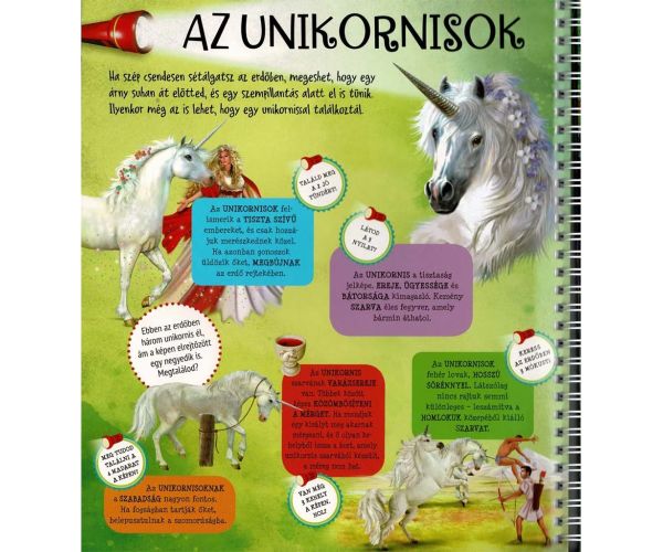 Cu lanternă – Pe urmele inorogoilor