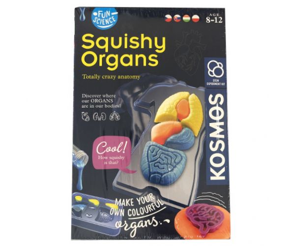 Fun Science - Set de joacă Organe Moi - Piatnik