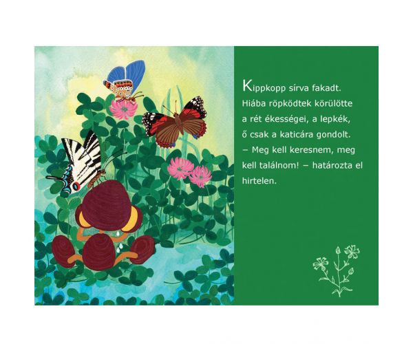Kipkopp a fűben diafilm
