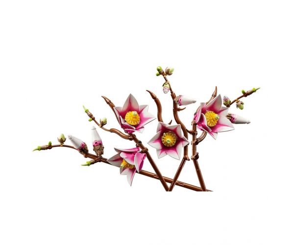 LEGO® Botanicals: Crengi de magnolie (11510)