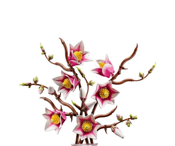 LEGO® Botanicals: Crengi de magnolie (11510)