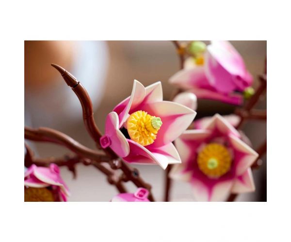 LEGO® Botanicals: Crengi de magnolie (11510)