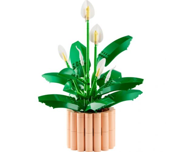 LEGO® Botanicals: Crinul Păcii (11504)