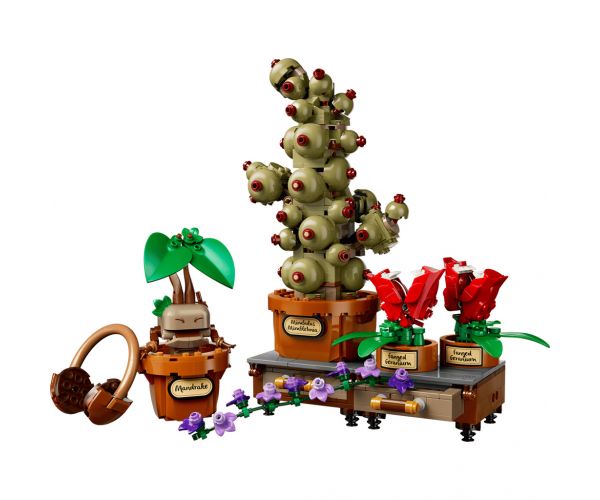 LEGO® Harry Potter™: Plantele din ora de Herbologie de la Hogwarts™ (76474)