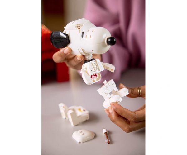 LEGO® Ideas: Peanuts: Căsuța lui Snoopy (21368)