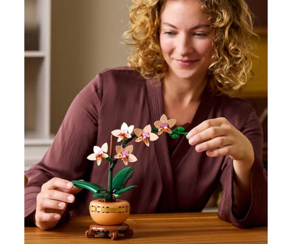 LEGO®: Lego Mini orchidea (10343)