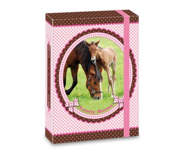 My Horse mapă pentru caiete A5 