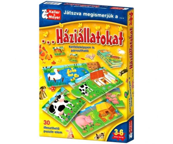 Ne jucăm și cunoaștem animalele de companie printr-un joc de societate.