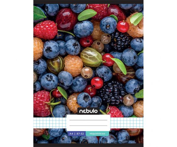 Nebulo: Caiet cu pătrățele, format A/4, cu cotor metalic, cu model de fructe, 87-32