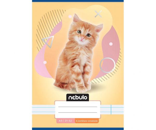 Nebulo: Caiet dictando clasa a 4-a cu model de pisică A/5 21-32