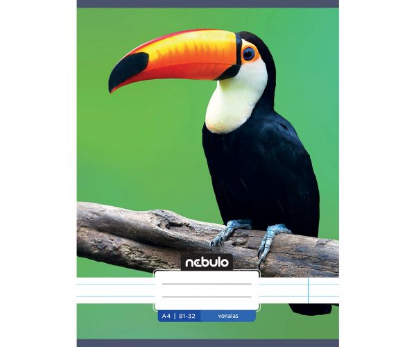 Nebulo: Caiet dictando cu model tucan 81-32 A/4