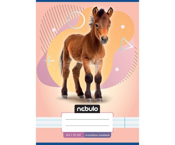Nebulo: Caiet dictando pentru clasa a 4-a cu model de cal A/5 21-32