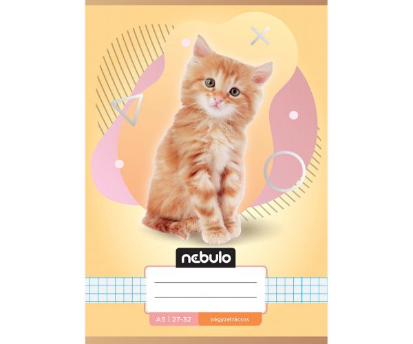 Nebulo: Caiet pătrățel cu model de pisică A/5 27-32