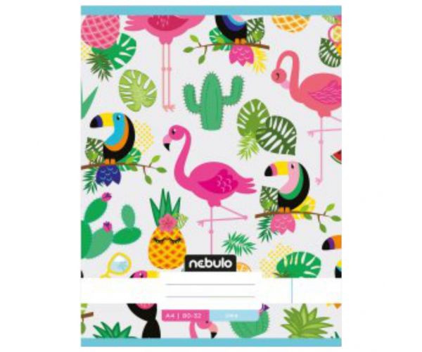 Nebulo: Flamingo és Tukán sima füzet A4 80-32