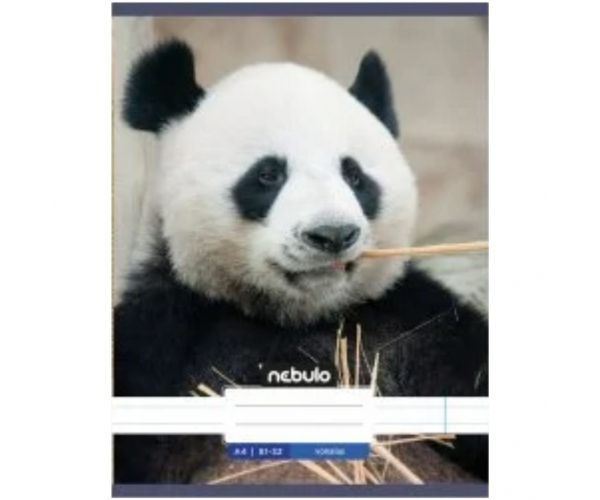 Nebulo: Panda caiet simplu A4 80-32
